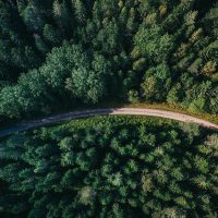 Ariel photo of a curved road in a forest