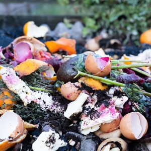 Goterra processes household food and kitchen waste. Photo of mixed food waste.